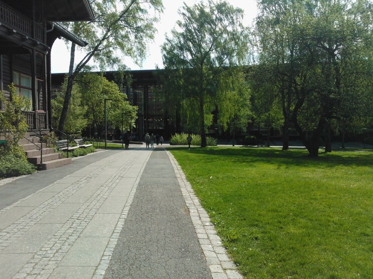 Bjørkesprett på Blindern 13mai2016