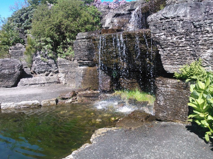 Foss i botanisk hage